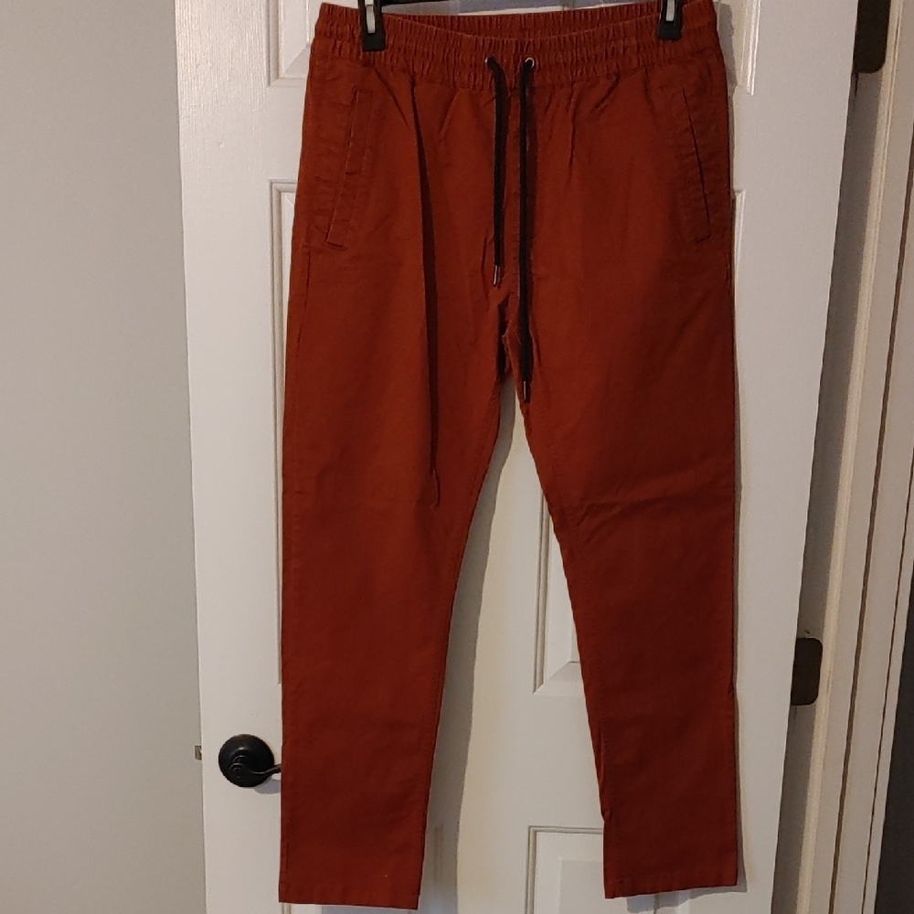 Forever 21 Men's Sz Large Brick Red Pants Straight leg Cargo Vibe - Picture 4 of 5